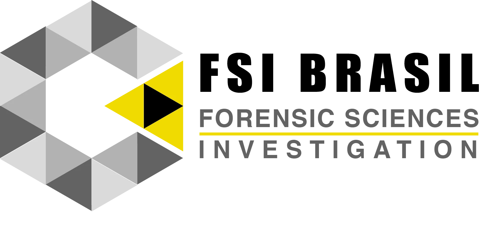 Logo FSI Brasil