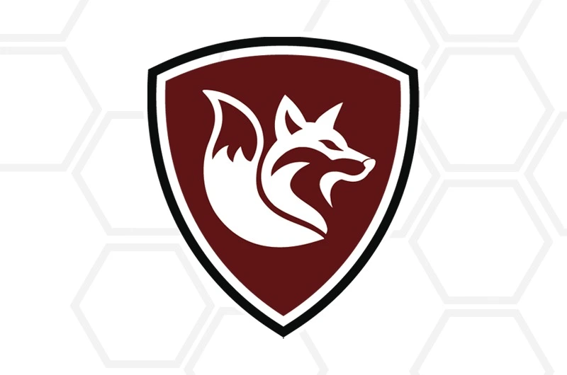 Instituto Volpe Miele - Ivm